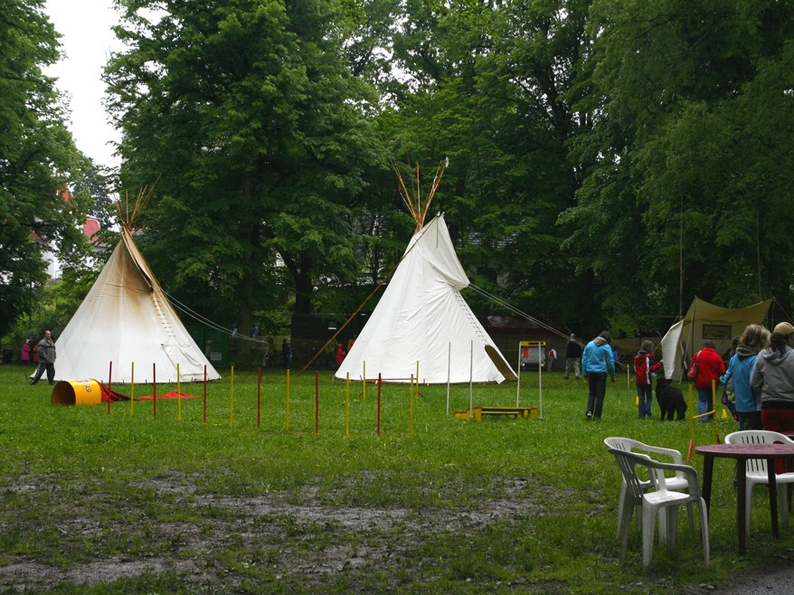 Bambirida v Riegrovch sadech v Jaromi.